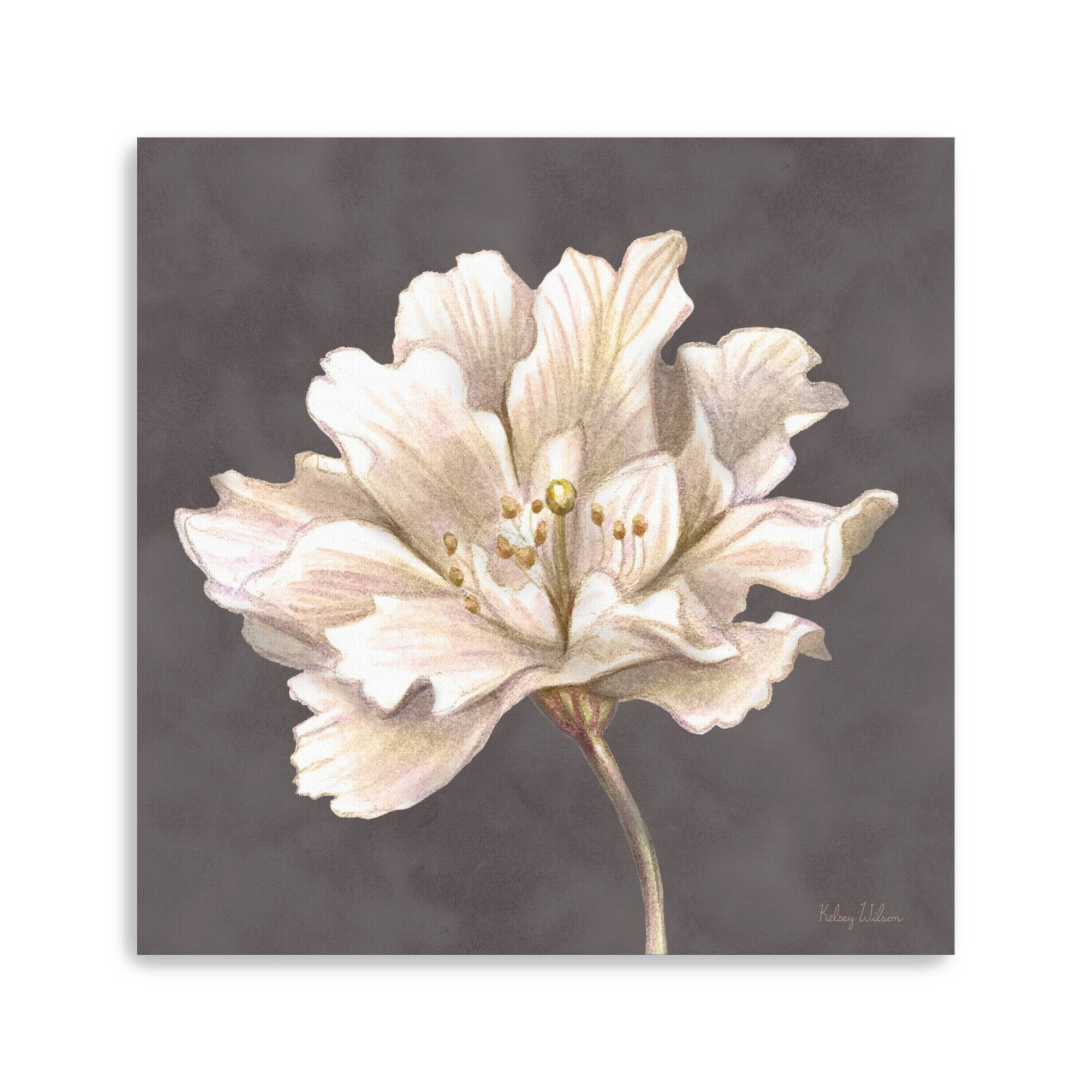 Cream Willow Blossom I Canvas Giclee